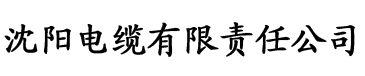 高清在线理论片电缆厂logo